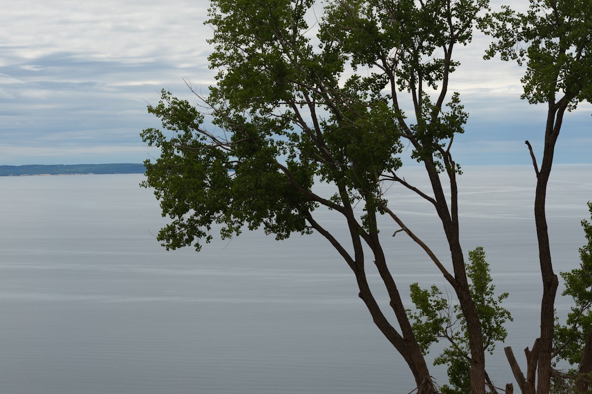 Sand dunes overlooking Lake Michigan at Sleeping Bear Dunes National Lakeshore